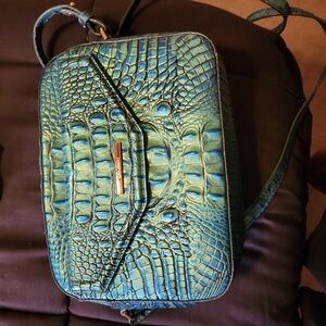 Brahmin bag Just want somebody else to enjoy it? So I can replace